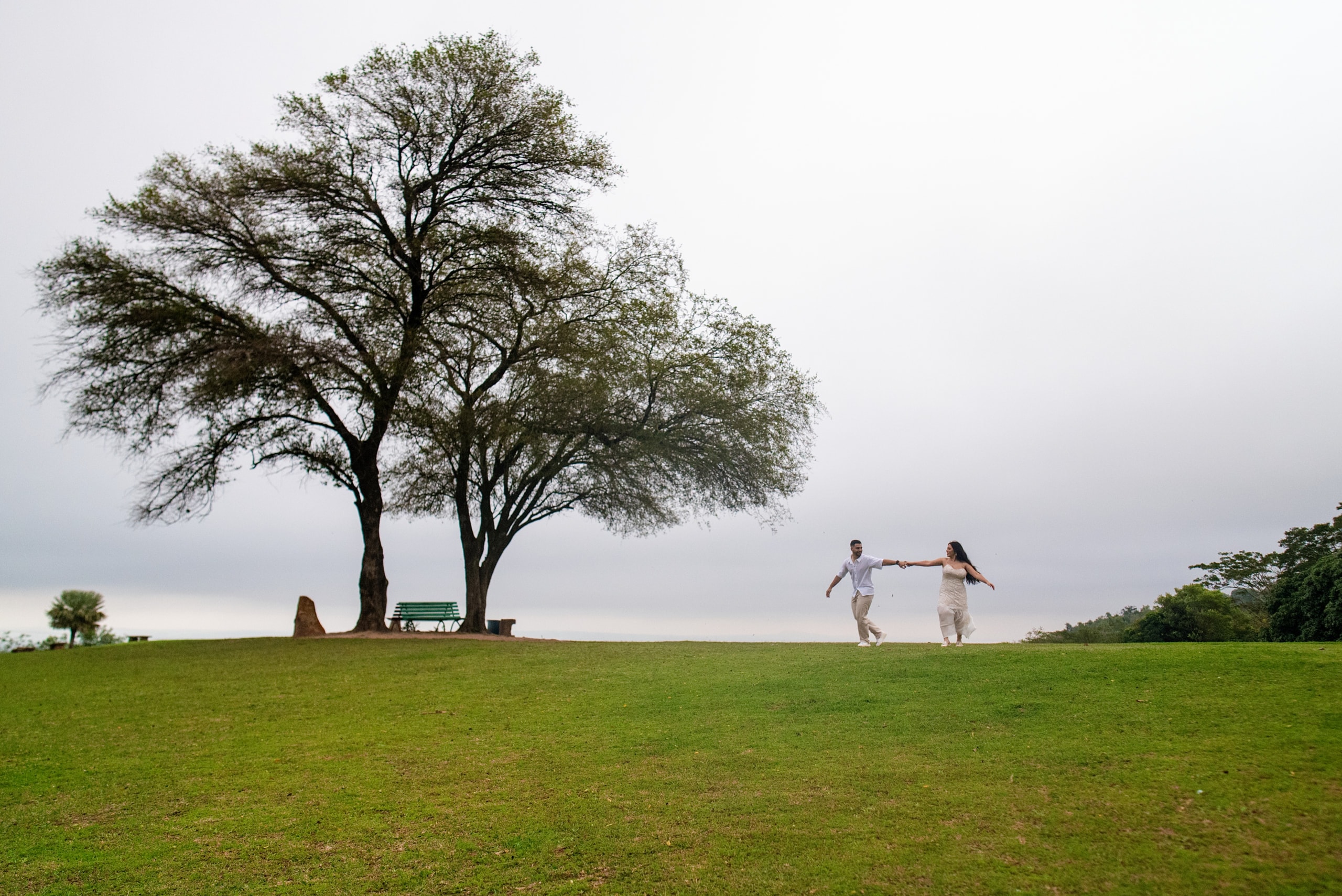 Una pareja pequeña en el cuadro, de la mano sobre una loma de pasto, junto a dos árboles grandes y un banco, bajo un cielo nublado